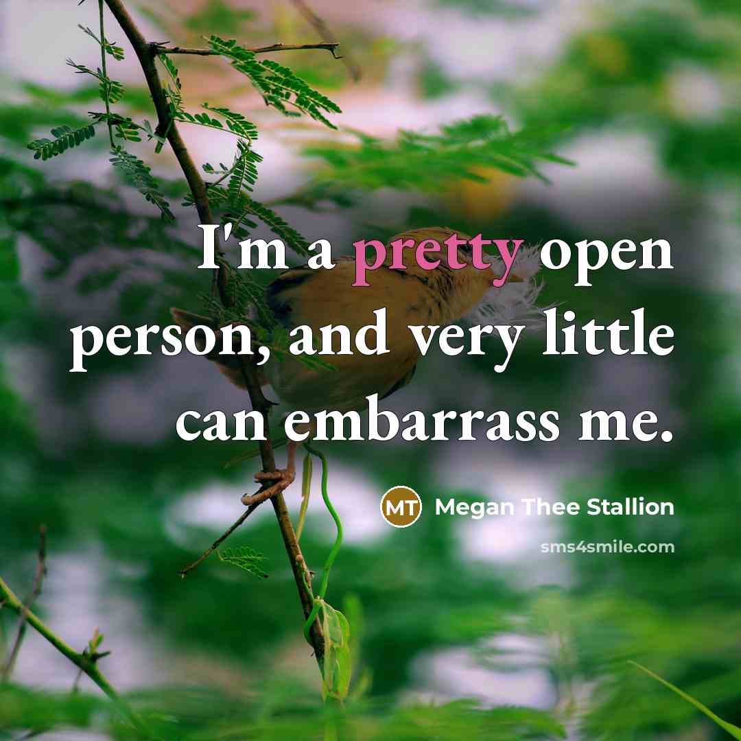 “I'm a pretty open person, and very little can embarrass…” quote by Megan Thee Stallion
