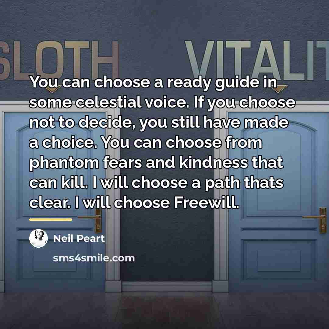 “You can choose a ready guide in some celestial voice.…” quote by Neil Peart