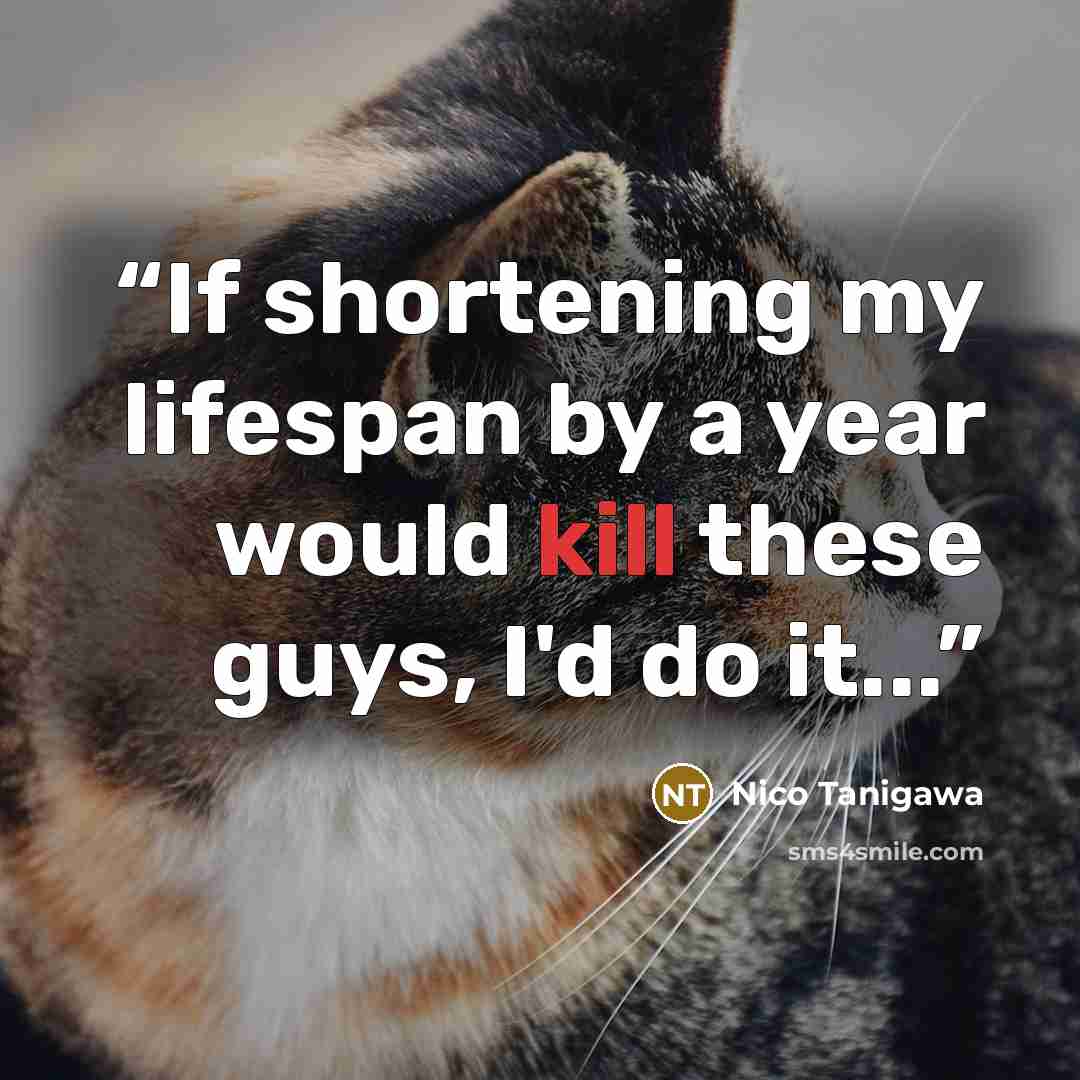“If shortening my lifespan by a year would kill these guys, I'd do it...” quote by Nico Tanigawa