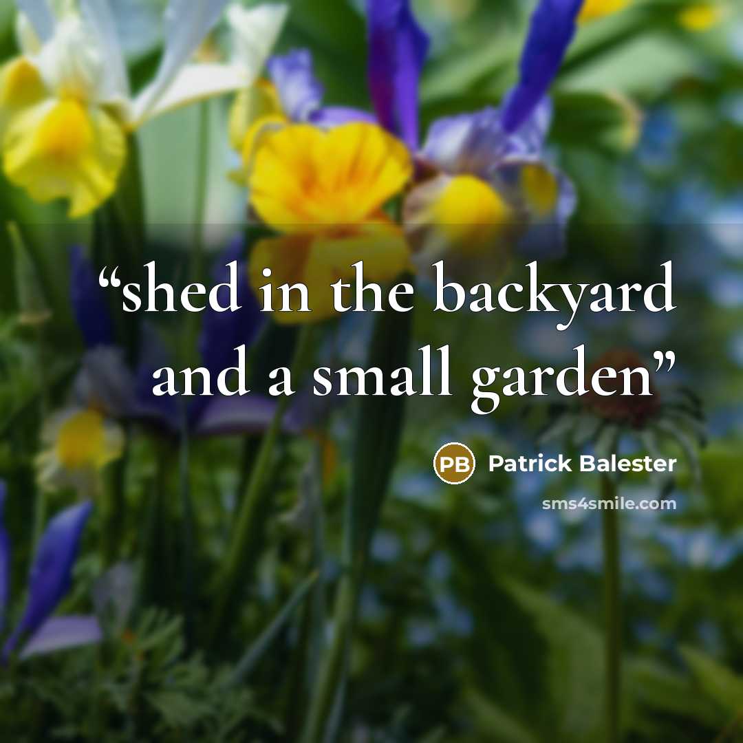 “shed in the backyard and a small garden” quote by Patrick Balester