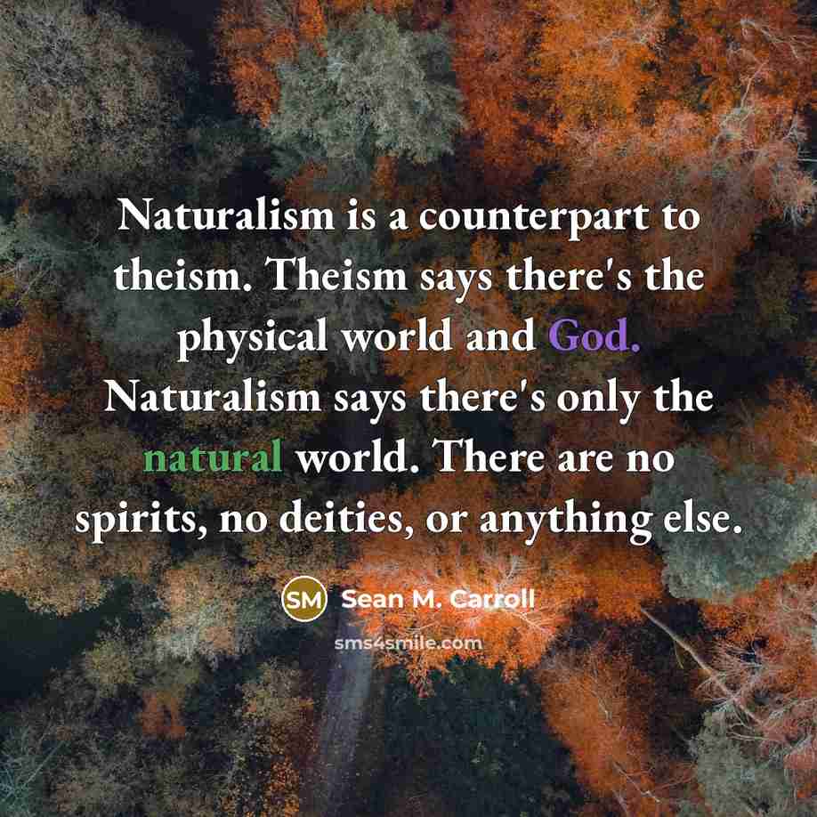 “Naturalism is a counterpart to theism. Theism says there's the…” quote by Sean M. Carroll