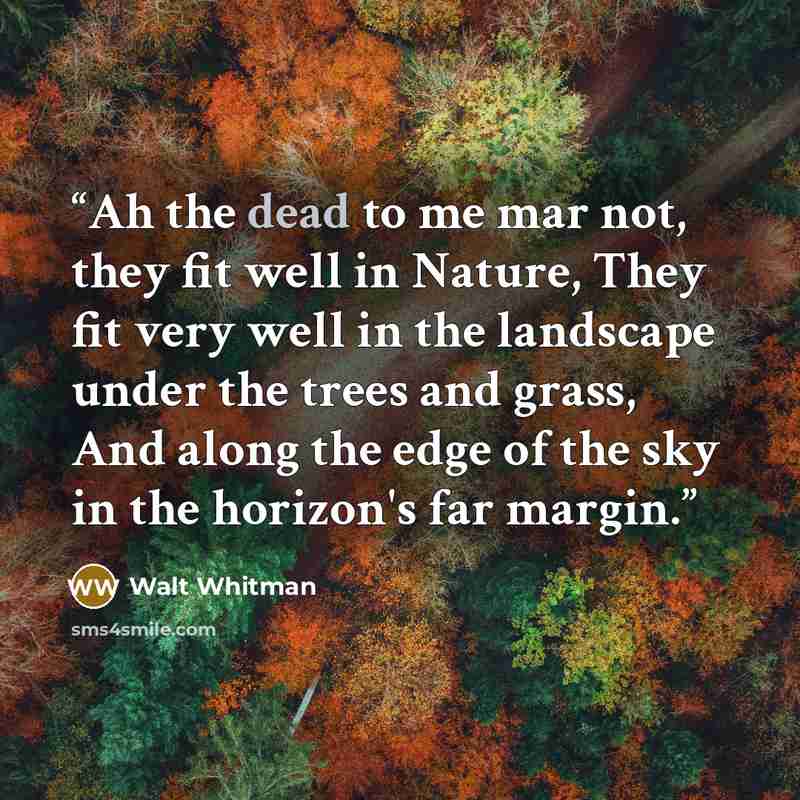 “Ah the dead to me mar not, they fit well in Nature, They fit very well in the landscape under the trees and grass, And along the edge of the sky in the horizon's far margin.” quote by Walt Whitman
