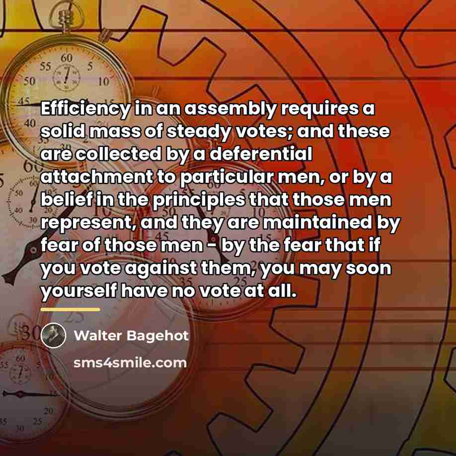 “Efficiency in an assembly requires a solid mass of steady…” quote by Walter Bagehot