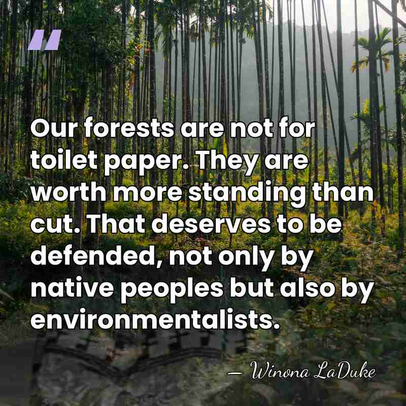 Our forests are not for toilet paper. They are worth more standing&hellip; - Winona LaDuke