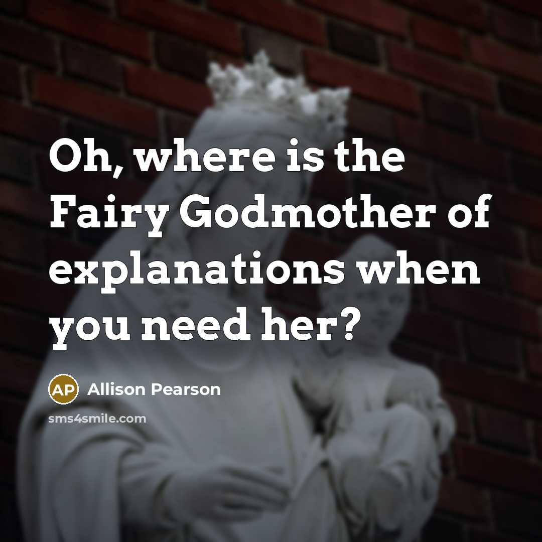 “Oh, where is the Fairy Godmother of explanations when you…” quote by Allison Pearson