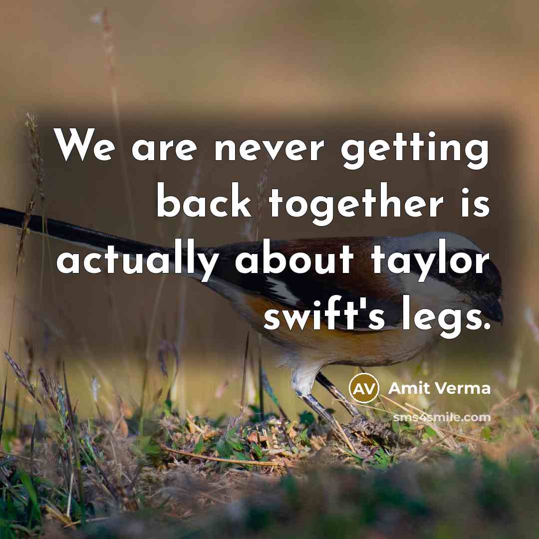 “We are never getting back together is actually about taylor…” quote by Amit Verma