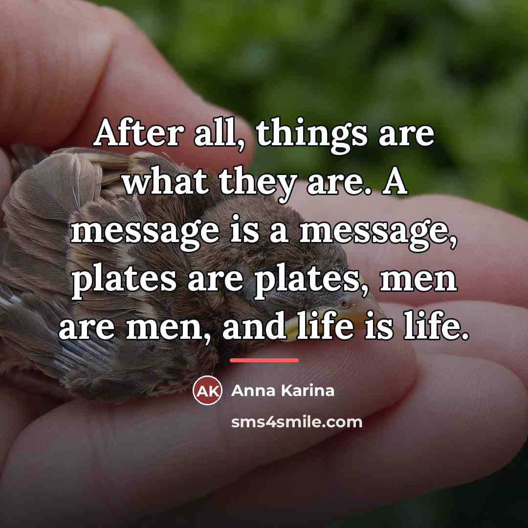 “After all, things are what they are. A message is…” quote by Anna Karina