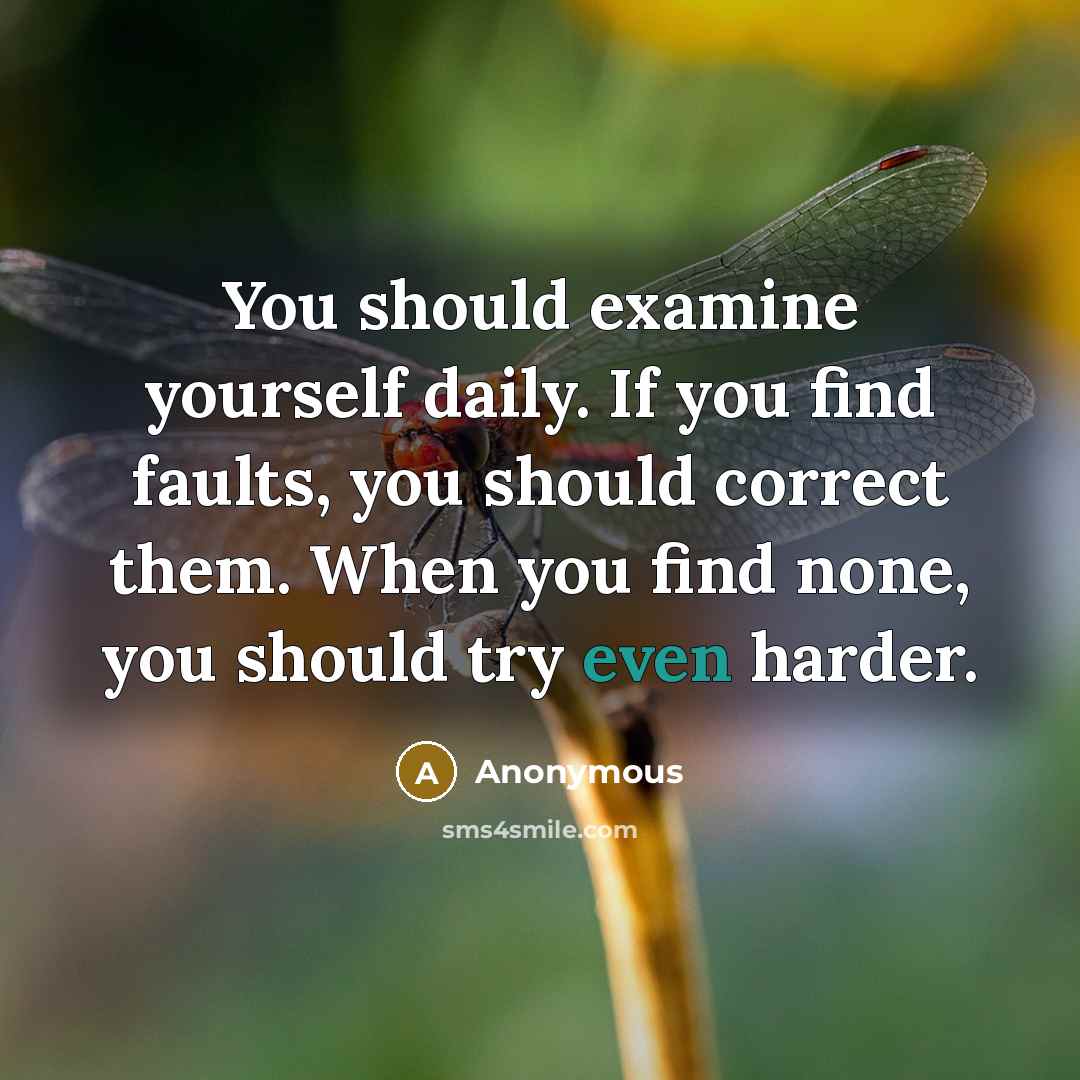 “You should examine yourself daily. If you find faults, you should correct them. When you find none, you should try even harder.” quote by Anonymous