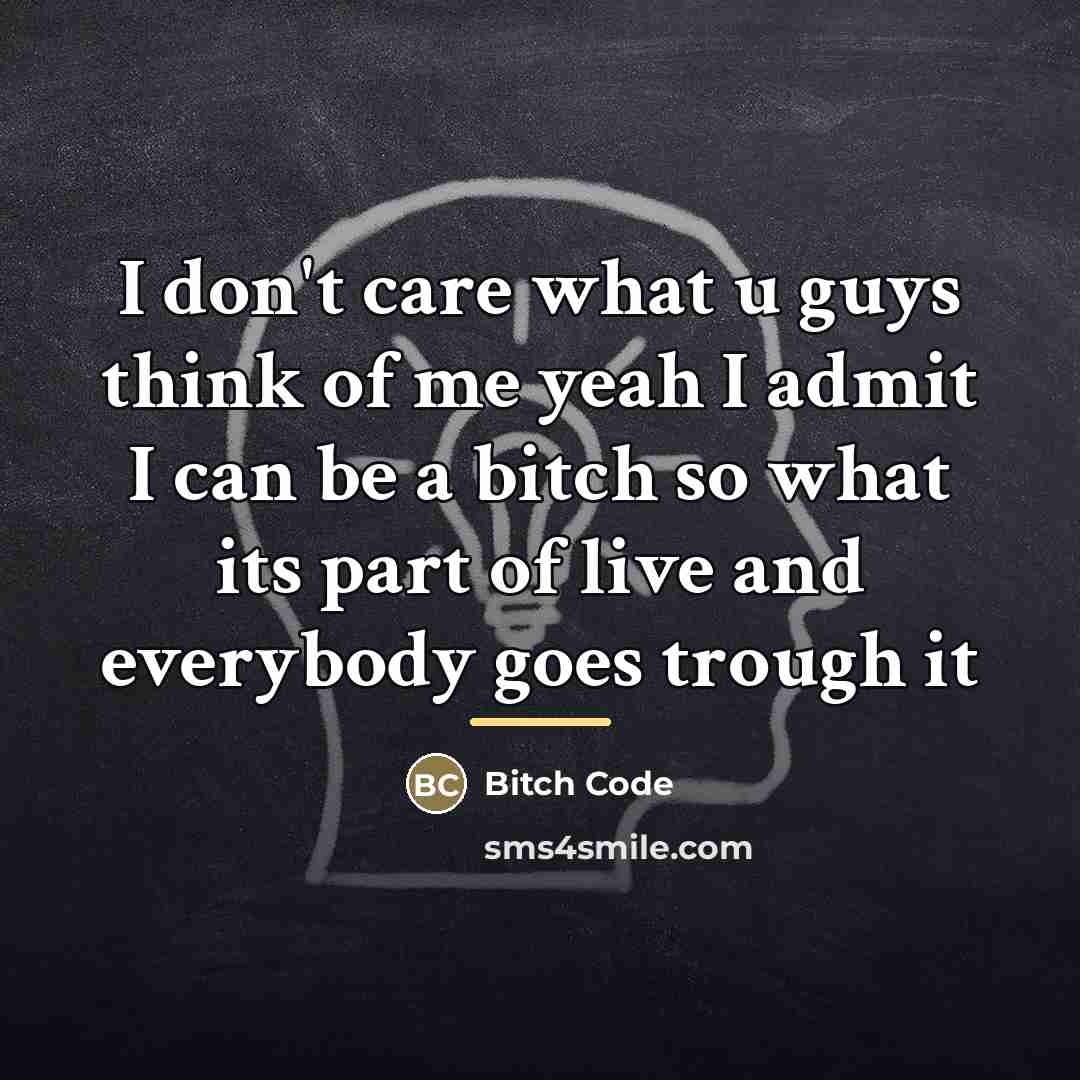 “I don't care what u guys think of me yeah…” quote by Bitch Code