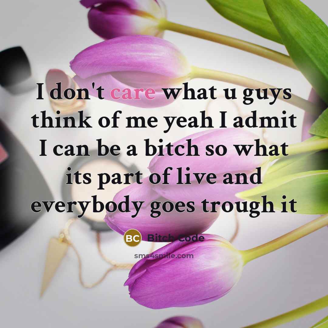 “I don't care what u guys think of me yeah I admit I can be a bitch so what its part of live and everybody goes trough it” quote by Bitch Code