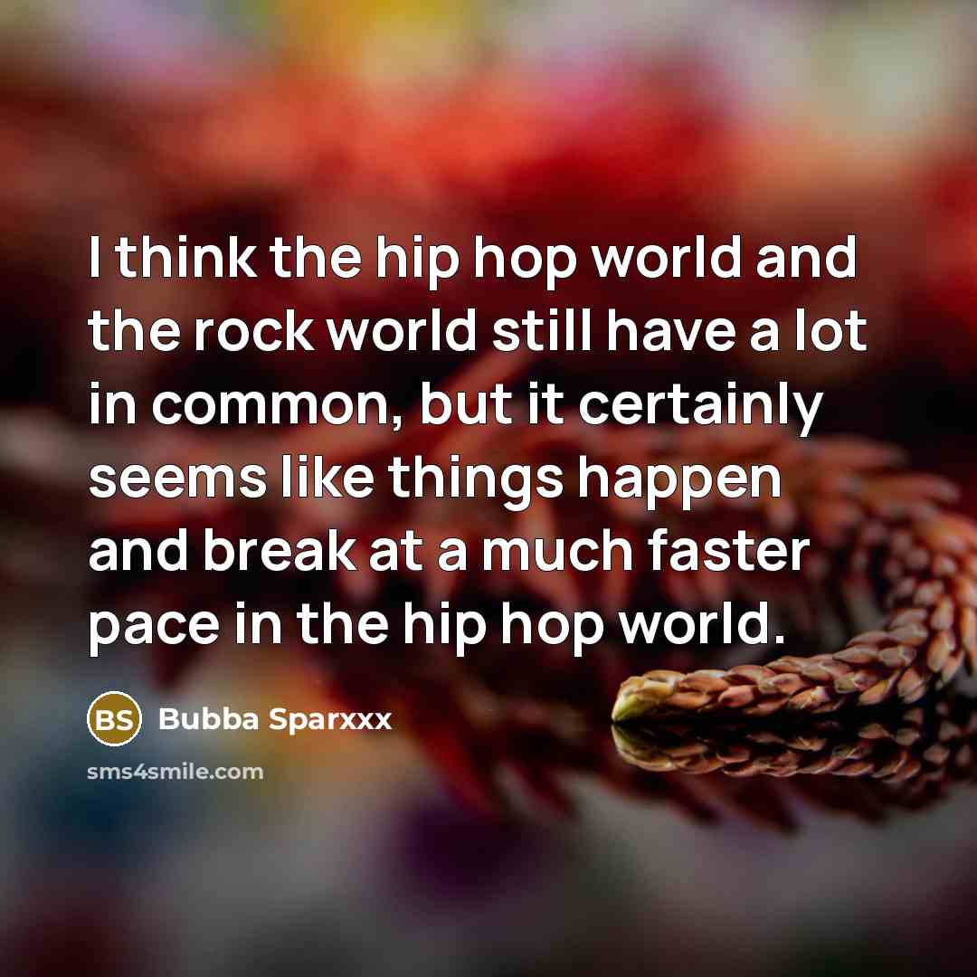 “I think the hip hop world and the rock world…” quote by Bubba Sparxxx