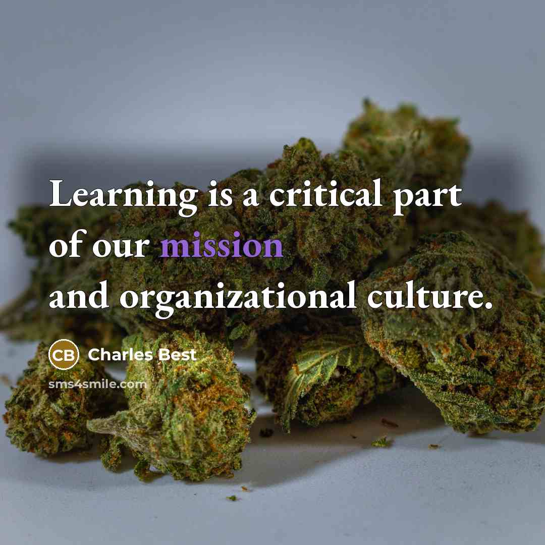 “Learning is a critical part of our mission and organizational…” quote by Charles Best