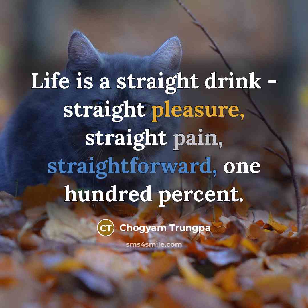 “Life is a straight drink - straight pleasure, straight pain,…” quote by Chogyam Trungpa