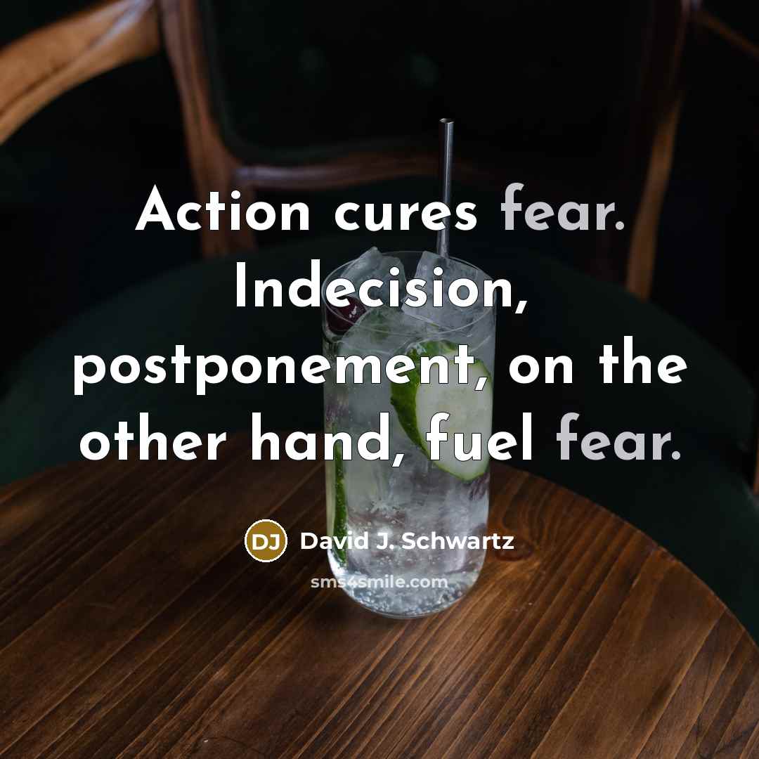 “Action cures fear. Indecision, postponement, on the other hand, fuel…” quote by David J. Schwartz