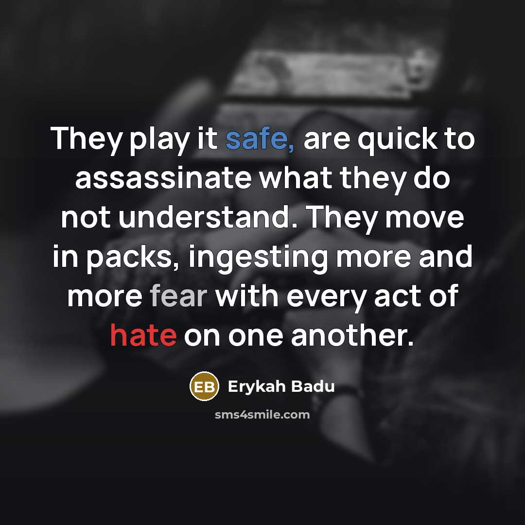 “They play it safe, are quick to assassinate what they…” quote by Erykah Badu