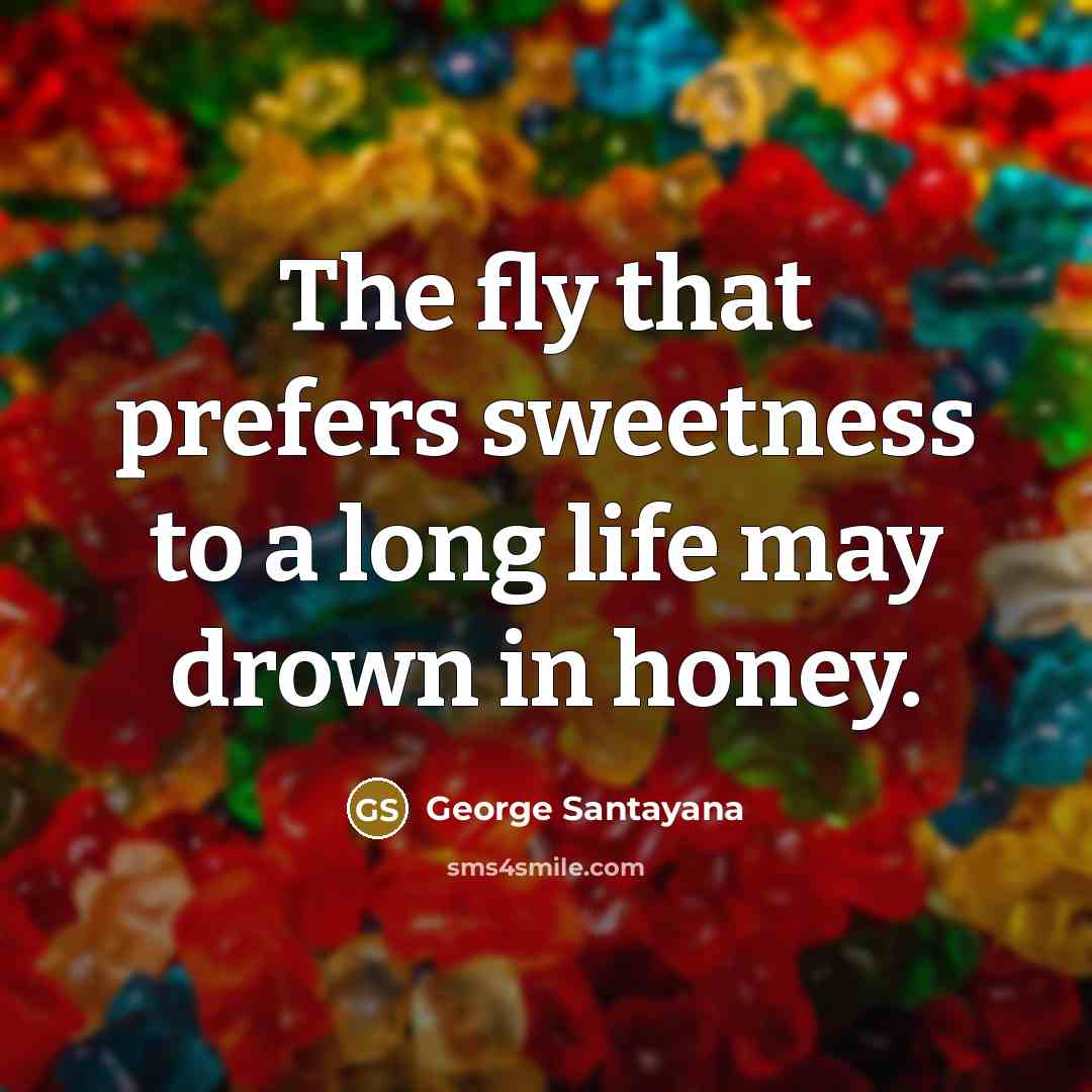 “The fly that prefers sweetness to a long life may…” quote by George Santayana