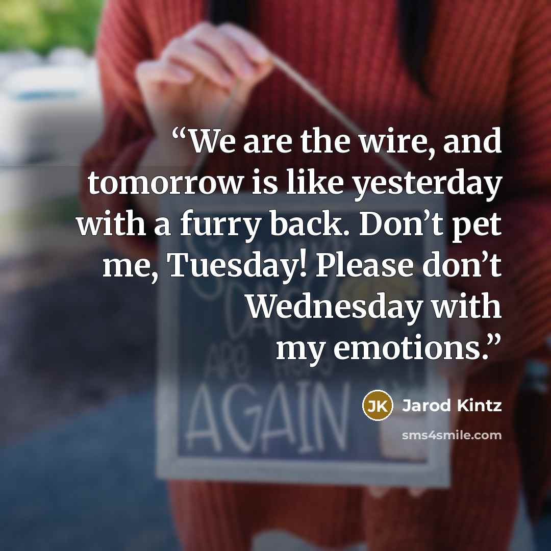 “We are the wire, and tomorrow is like yesterday with a furry back. Don’t pet me, Tuesday! Please don’t Wednesday with my emotions.” quote by Jarod Kintz