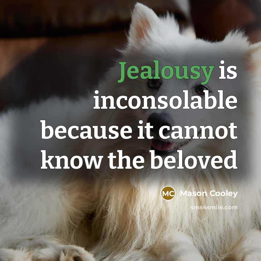 “Jealousy is inconsolable because it cannot know the beloved…” quote by Mason Cooley