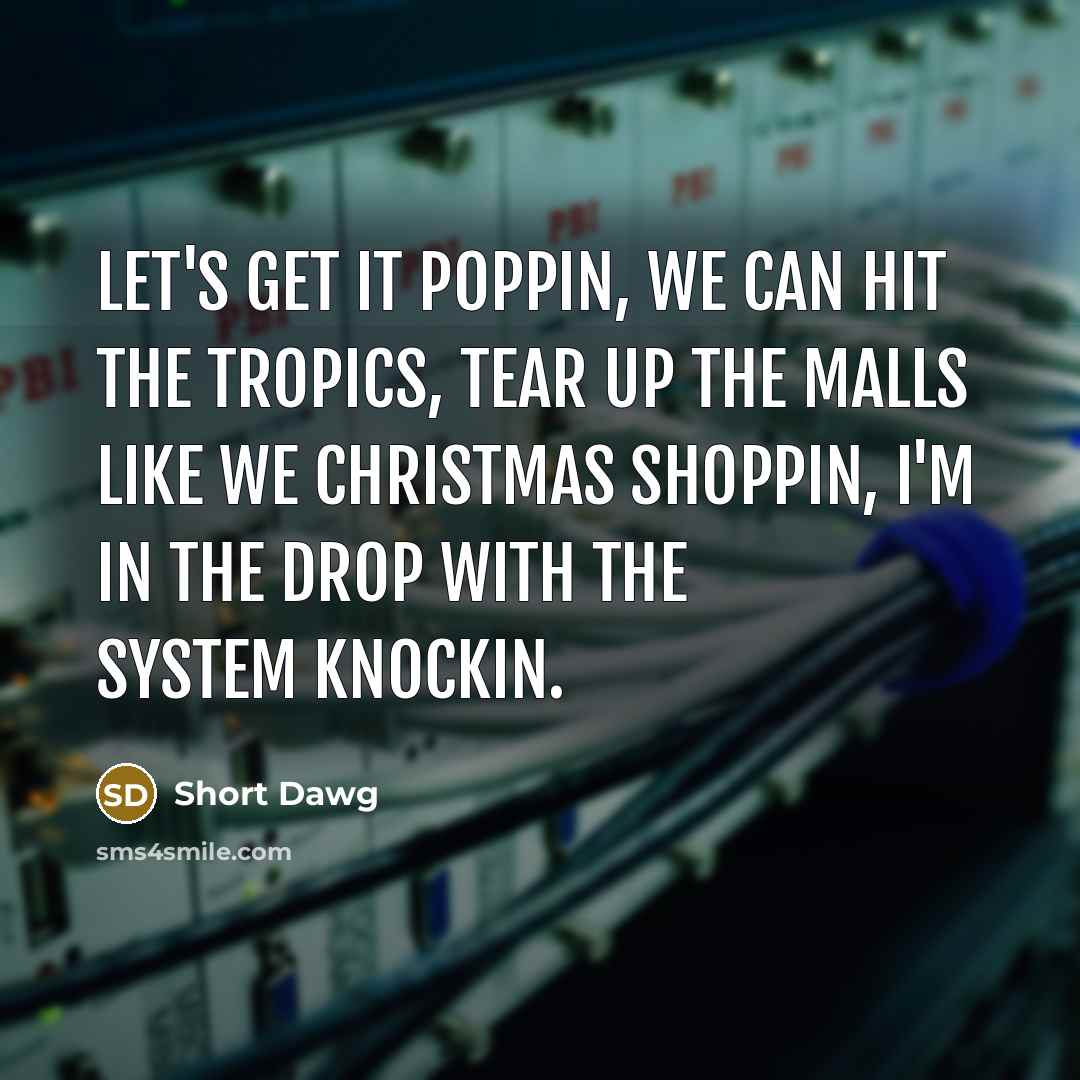 “Let's get it poppin, We can hit the tropics, Tear…” quote by Short Dawg