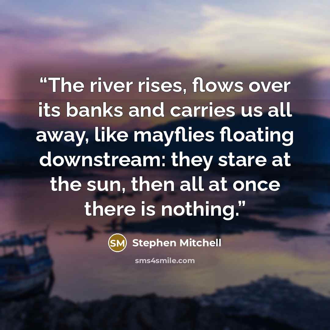 “The river rises, flows over its banks and carries us all away, like mayflies floating downstream: they stare at the sun, then all at once there is nothing.” quote by Stephen Mitchell