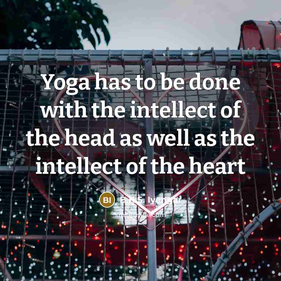 “Yoga has to be done with the intellect of the…” quote by B.K.S. Iyengar