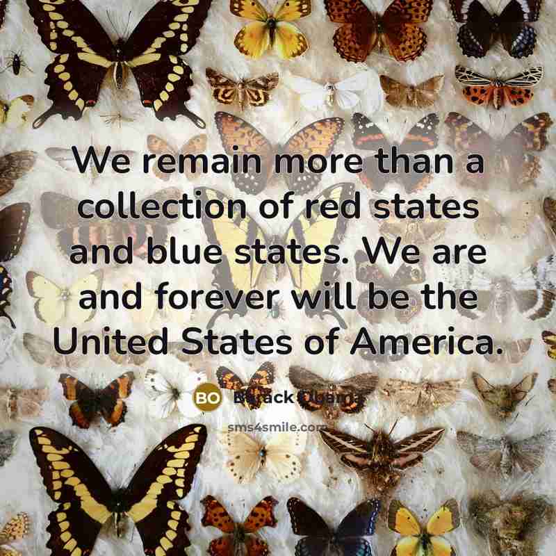“We remain more than a collection of red states and…” quote by Barack Obama