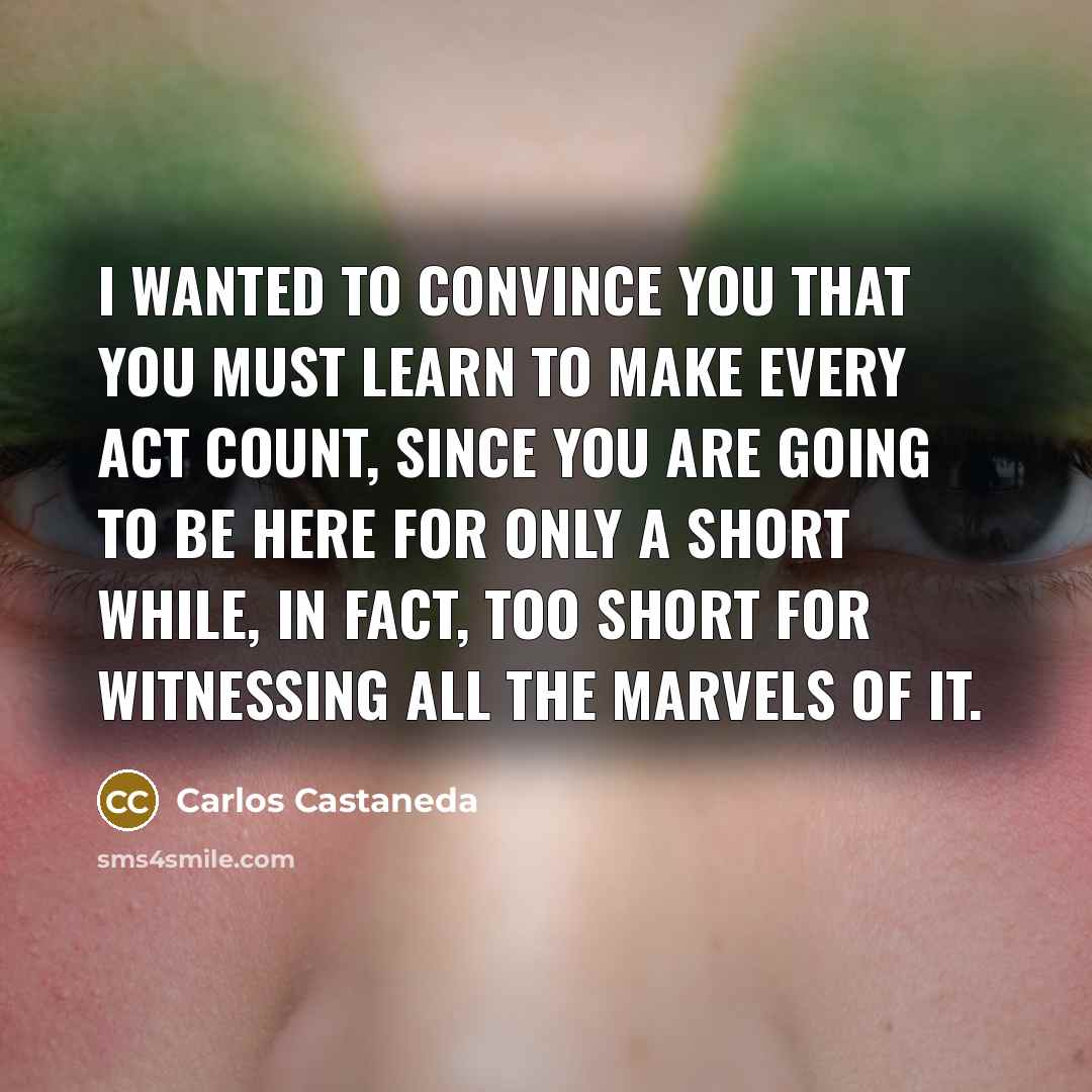 “I wanted to convince you that you must learn to…” quote by Carlos Castaneda