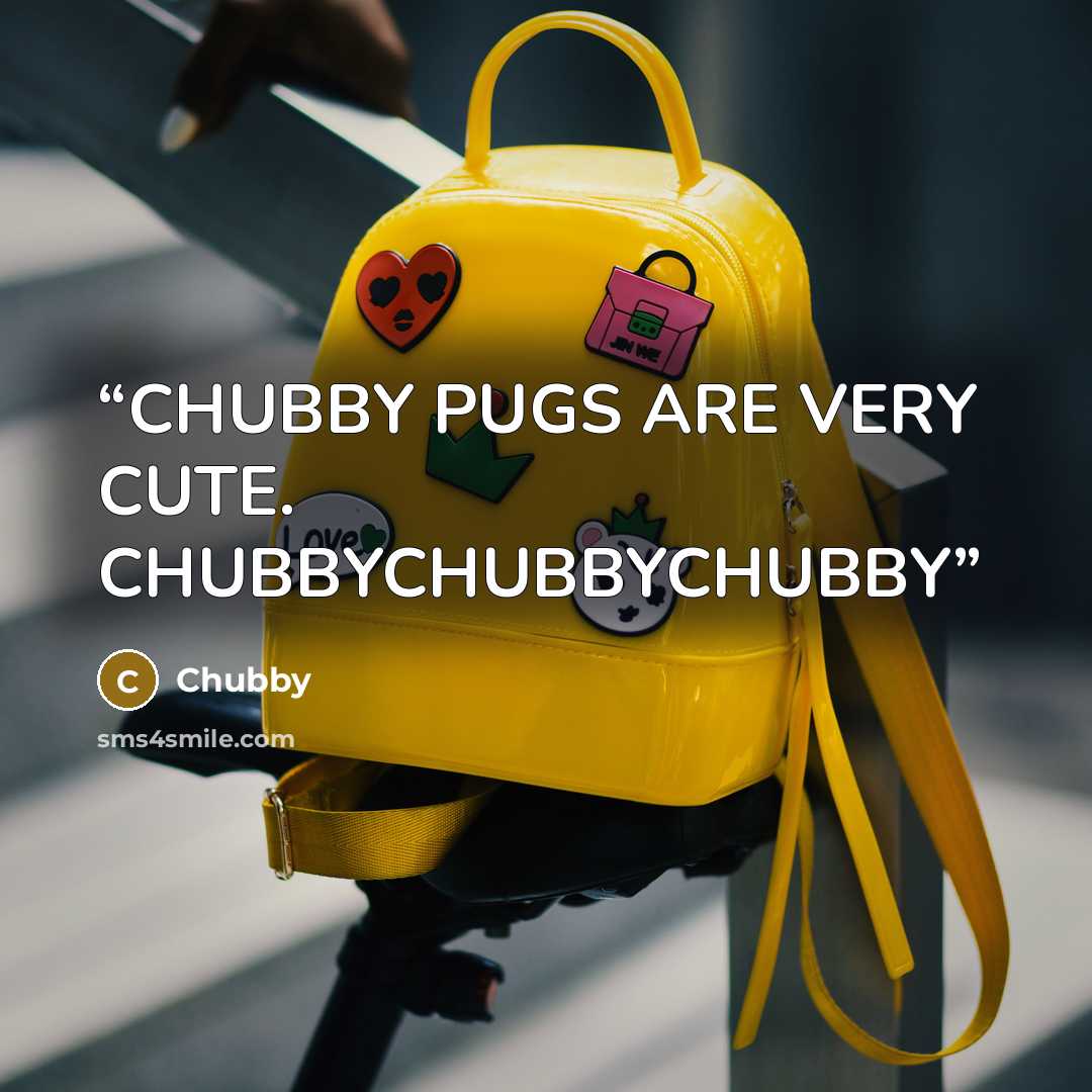 “CHUBBY PUGS ARE VERY CUTE. CHUBBYCHUBBYCHUBBY” quote by Chubby