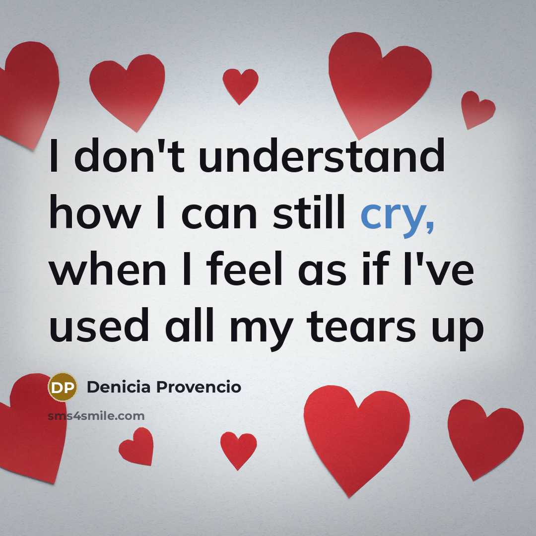“I don't understand how I can still cry, when I…” quote by Denicia Provencio