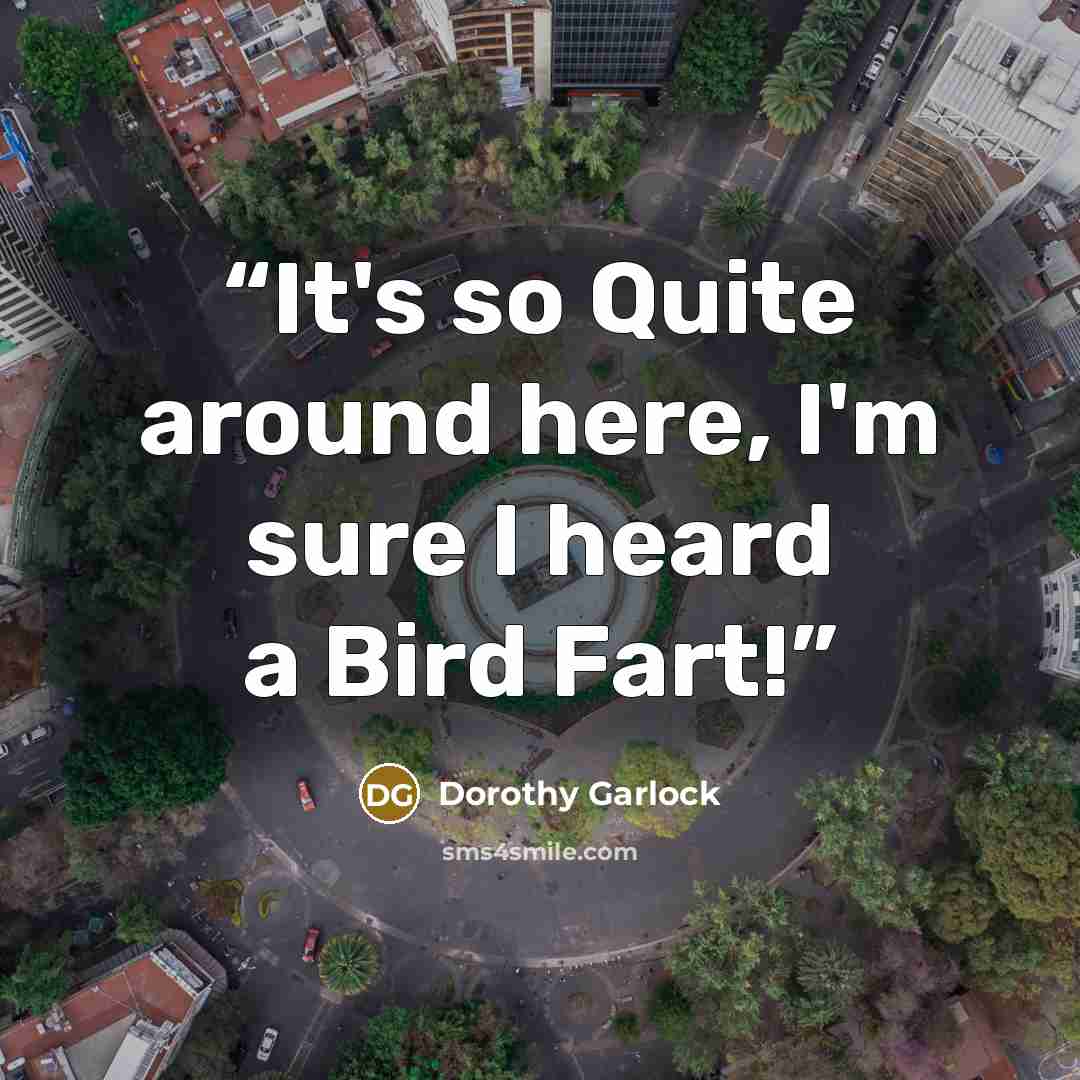 “It's so Quite around here, I'm sure I heard a Bird Fart!” quote by Dorothy Garlock