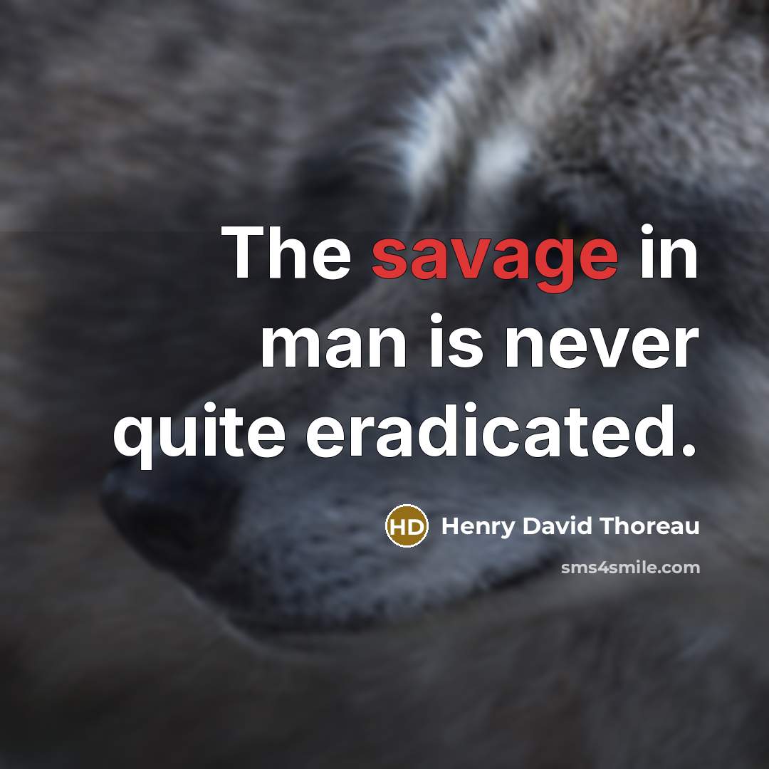 “The savage in man is never quite eradicated.” quote by Henry David Thoreau