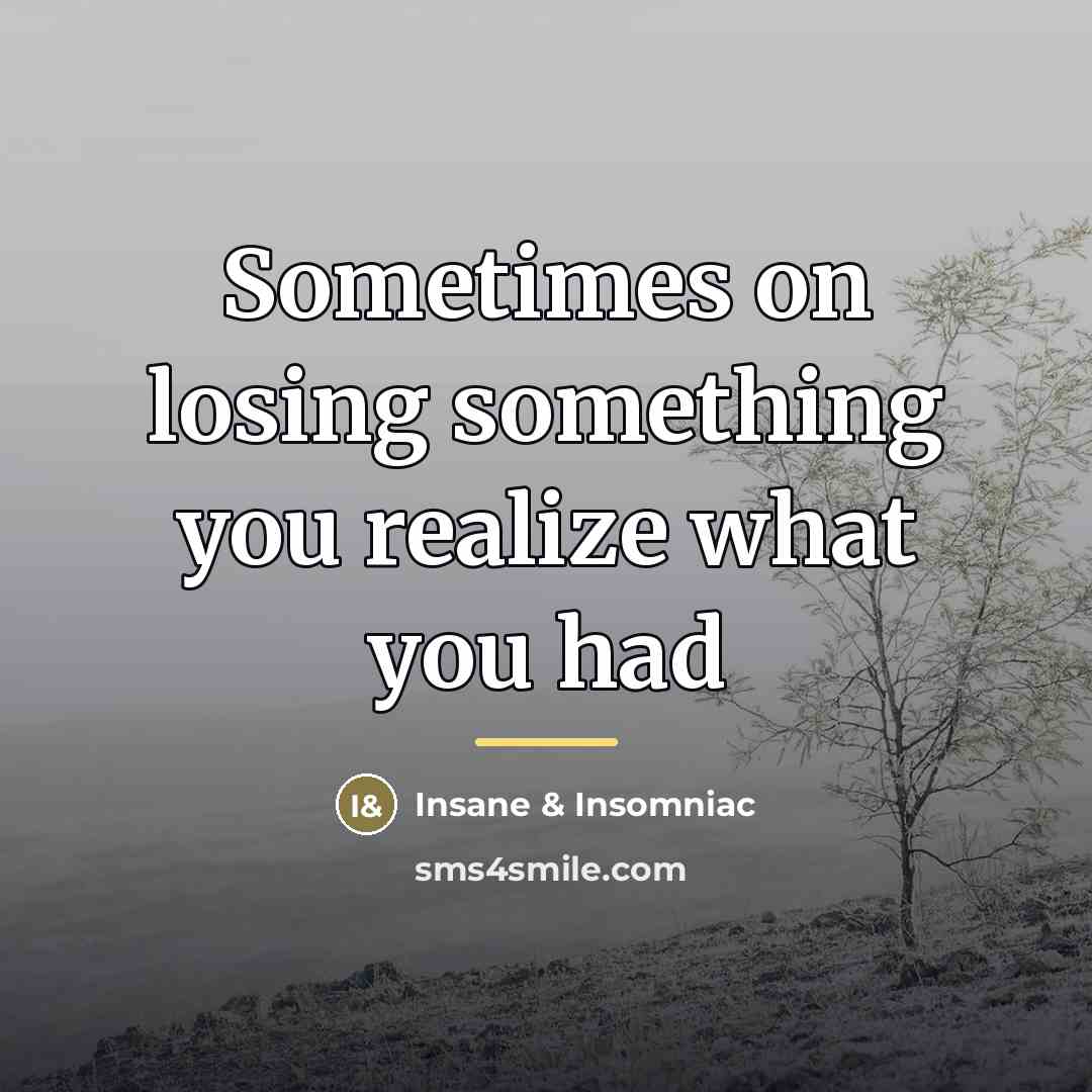 “Sometimes on losing something you realize what you had…” quote by Insane & Insomniac