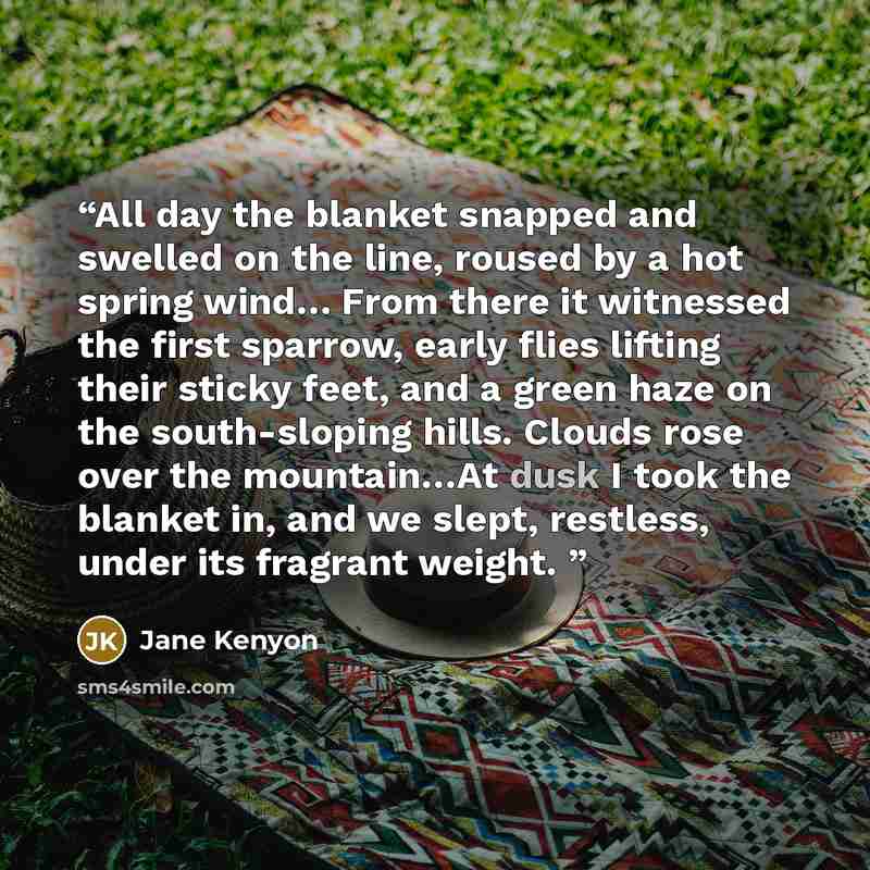 “All day the blanket snapped and swelled on the line, roused by a hot spring wind… From there it witnessed the first sparrow, early flies lifting their sticky feet, and a green haze on the south-sloping hills. Clouds rose over the mountain…At dusk I took the blanket in, and we slept, restless…” quote by Jane Kenyon