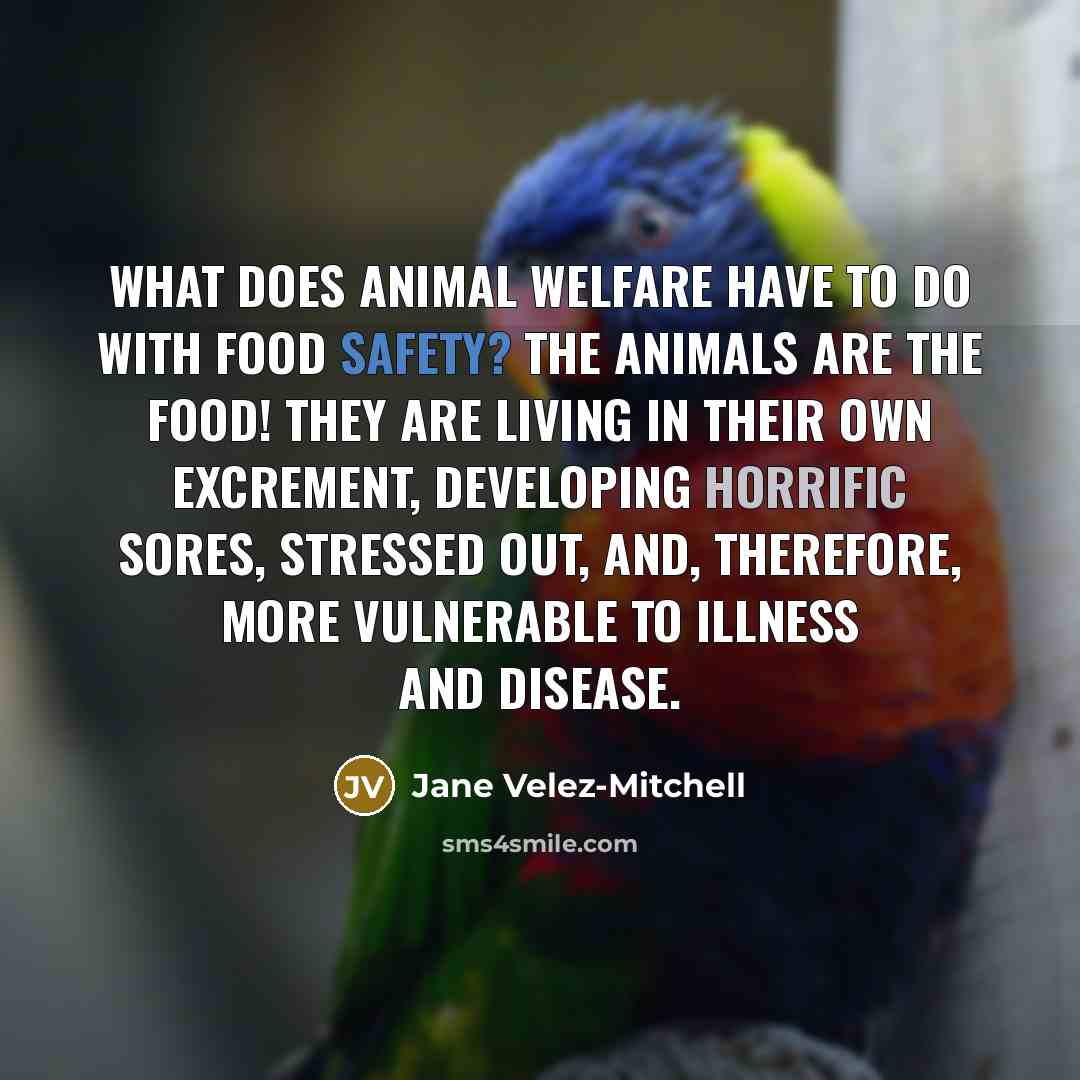 “What does animal welfare have to do with food safety?…” quote by Jane Velez-Mitchell