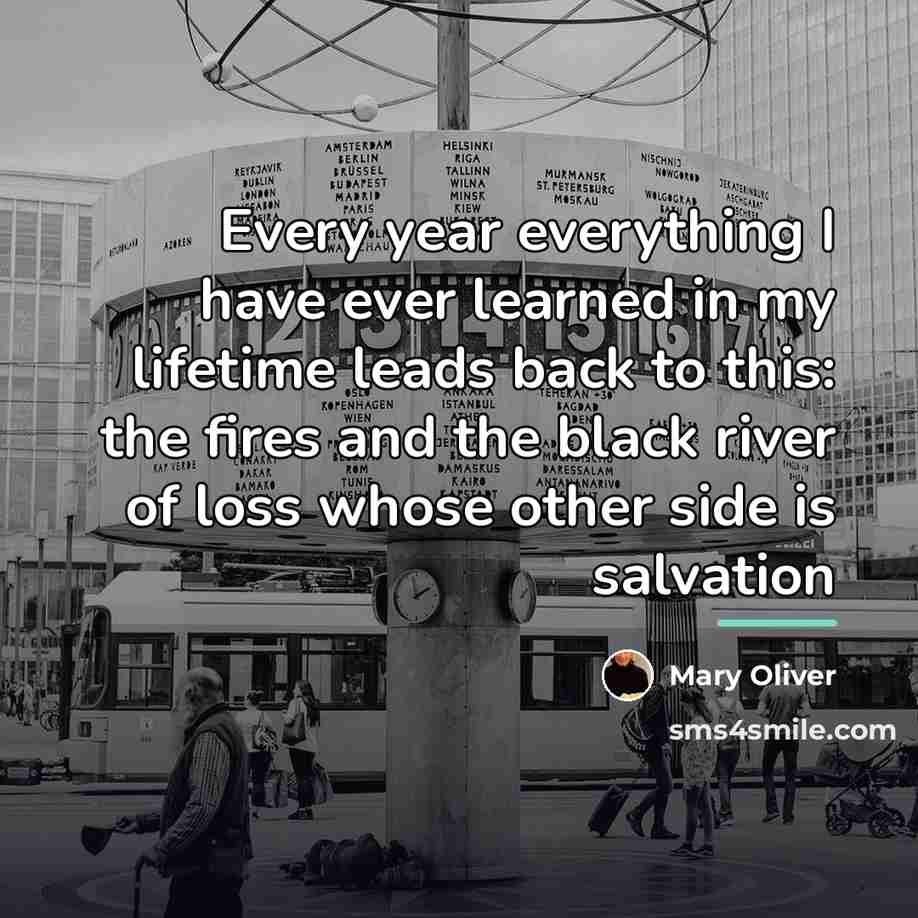 “Every year everything I have ever learned in my lifetime…” quote by Mary Oliver