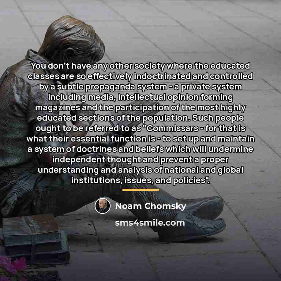 “You don't have any other society where the educated classes…” quote by Noam Chomsky
