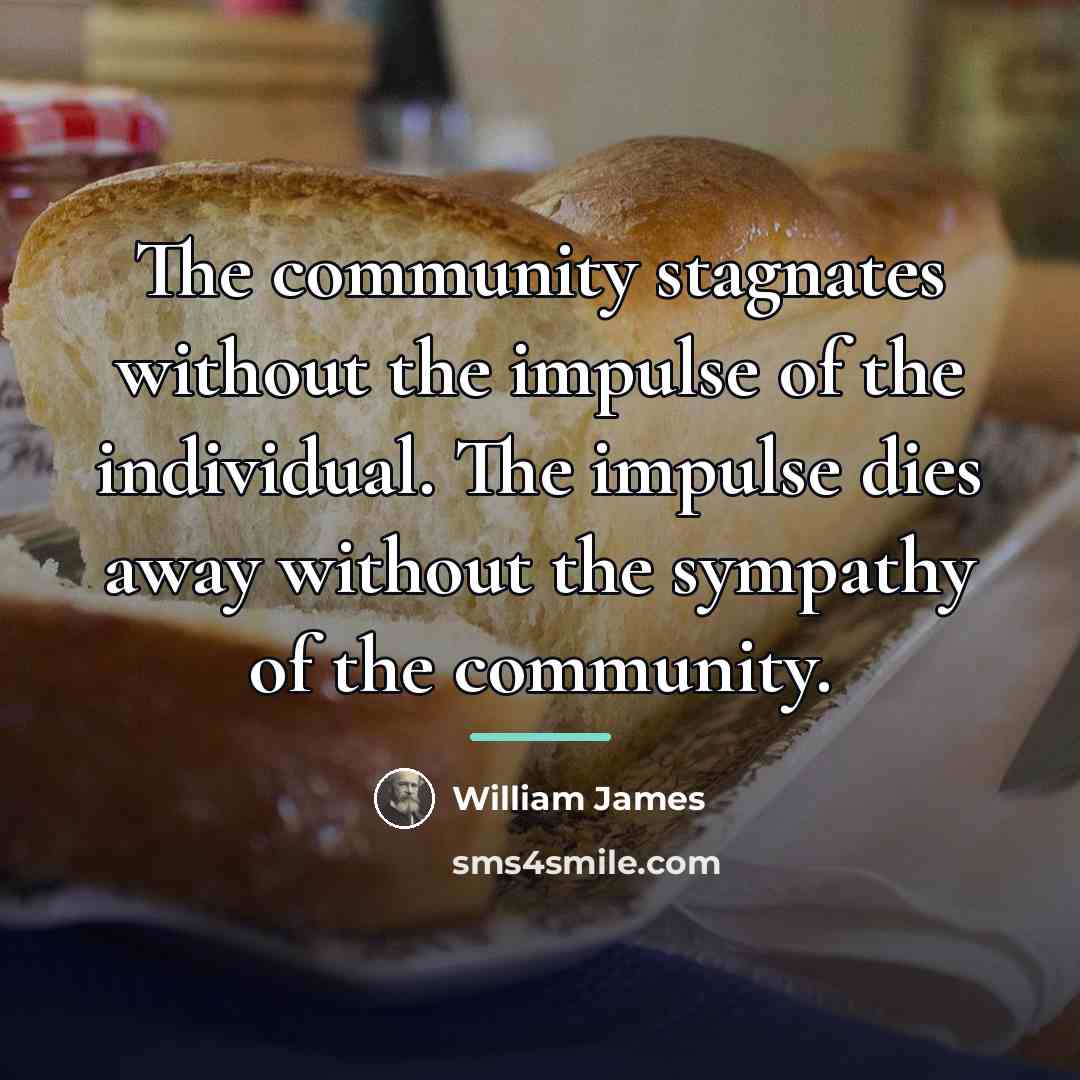 “The community stagnates without the impulse of the individual. The…” quote by William James