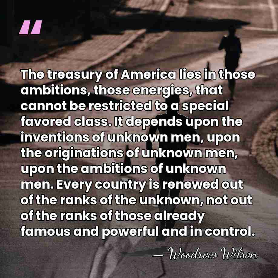 The treasury of America lies in those ambitions, those energies, that cannot&hellip; - Woodrow Wilson