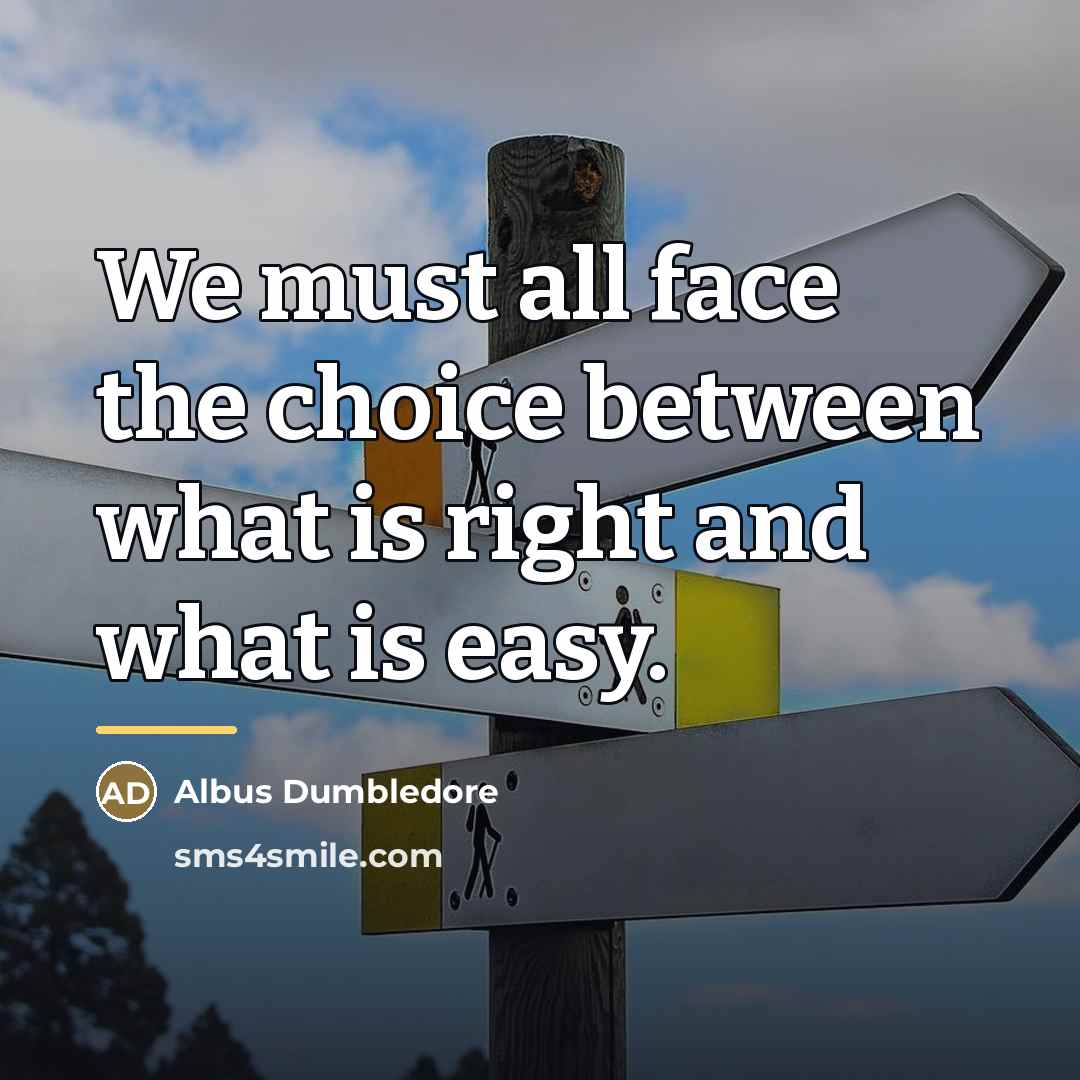 “We must all face the choice between what is right…” quote by Albus Dumbledore