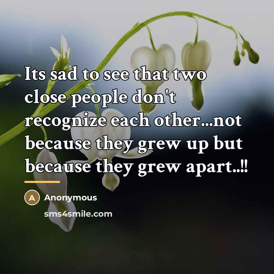 “Its sad to see that two close people don't recognize…” quote by Anonymous