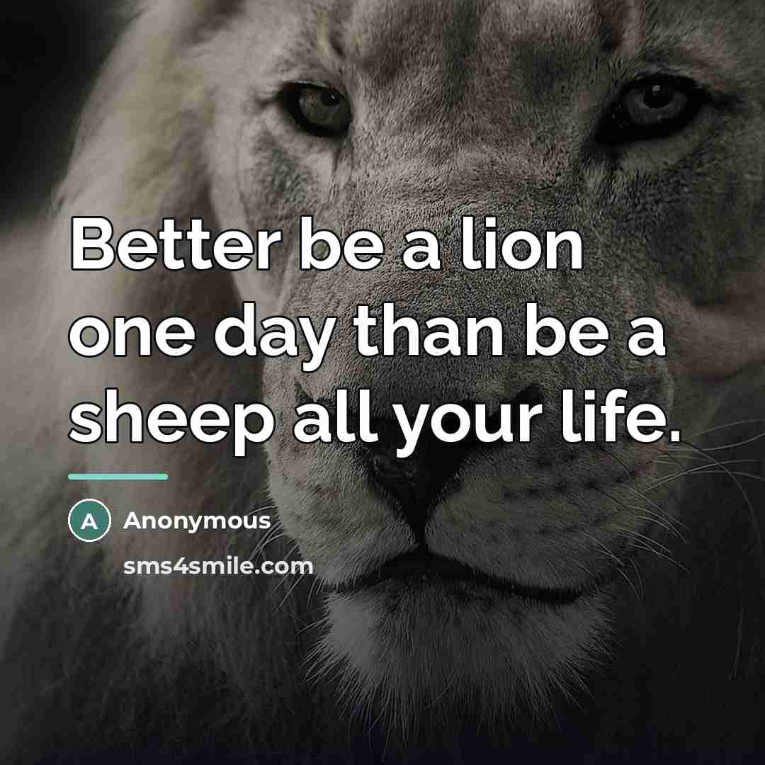 “Better be a lion one day than be a sheep…” quote by Anonymous