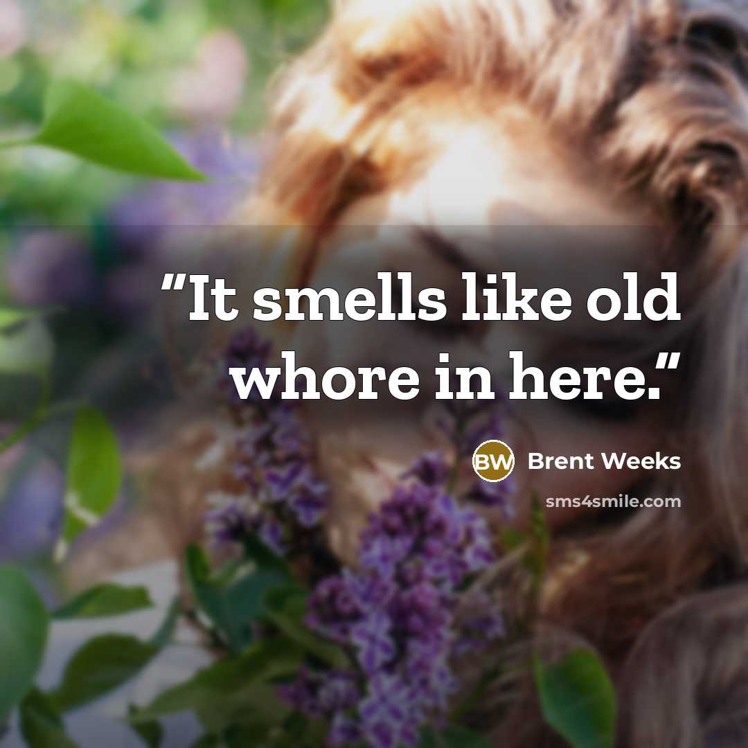 “It smells like old whore in here.” quote by Brent Weeks