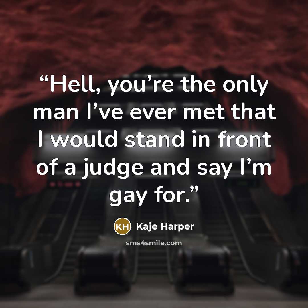 “Hell, you’re the only man I’ve ever met that I would stand in front of a judge and say I’m gay for.” quote by Kaje Harper