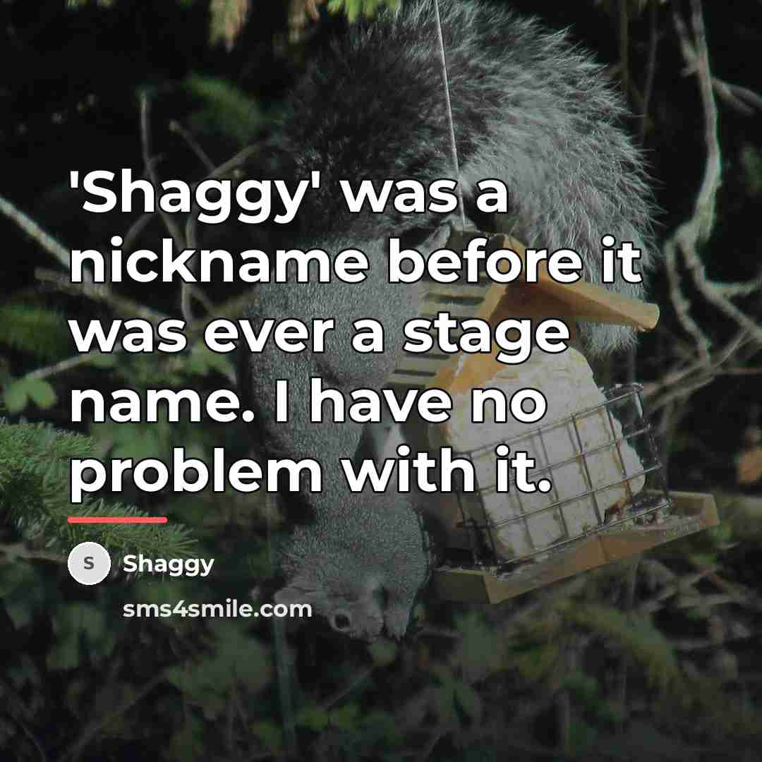 “'Shaggy' was a nickname before it was ever a stage…” quote by Shaggy