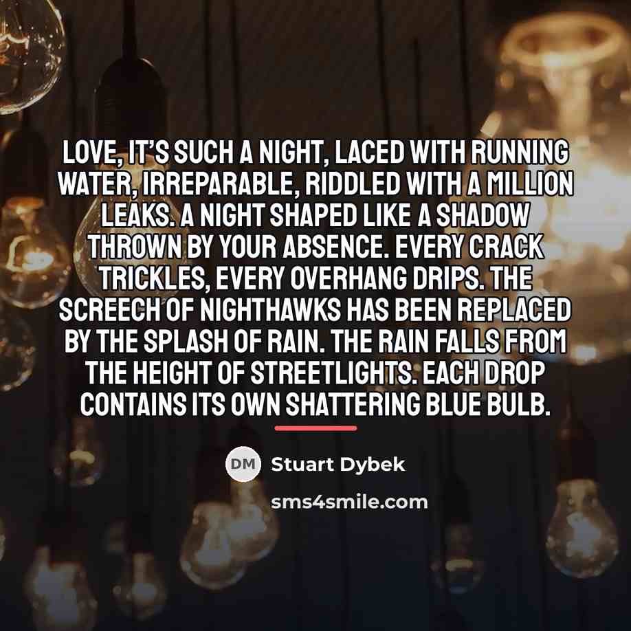 “Love, it’s such a night, laced with running water, irreparable,…” quote by Stuart Dybek