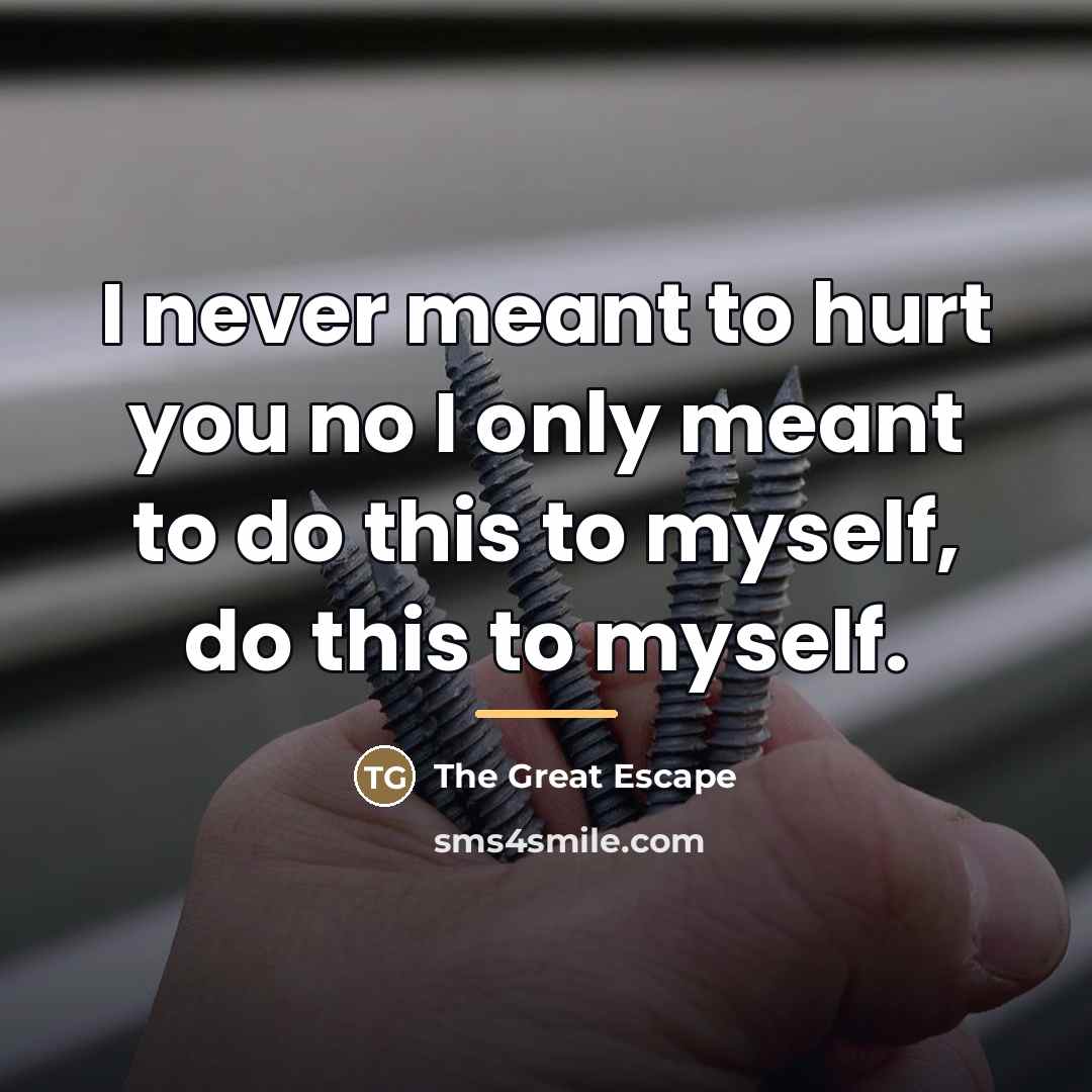 “I never meant to hurt you no I only meant…” quote by The Great Escape