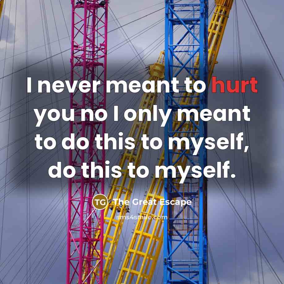 “I never meant to hurt you no I only meant to do this to myself, do this to myself.” quote by The Great Escape