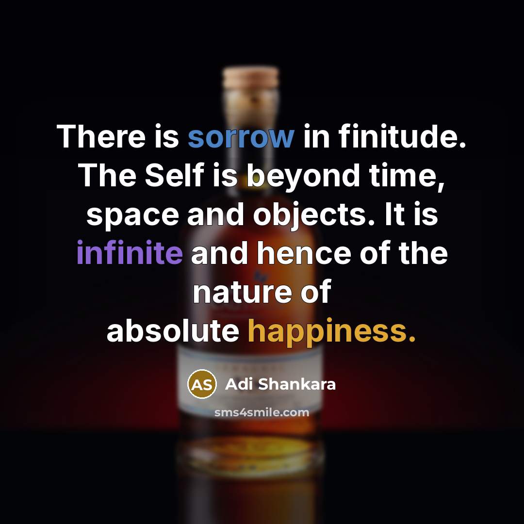 “There is sorrow in finitude. The Self is beyond time,…” quote by Adi Shankara