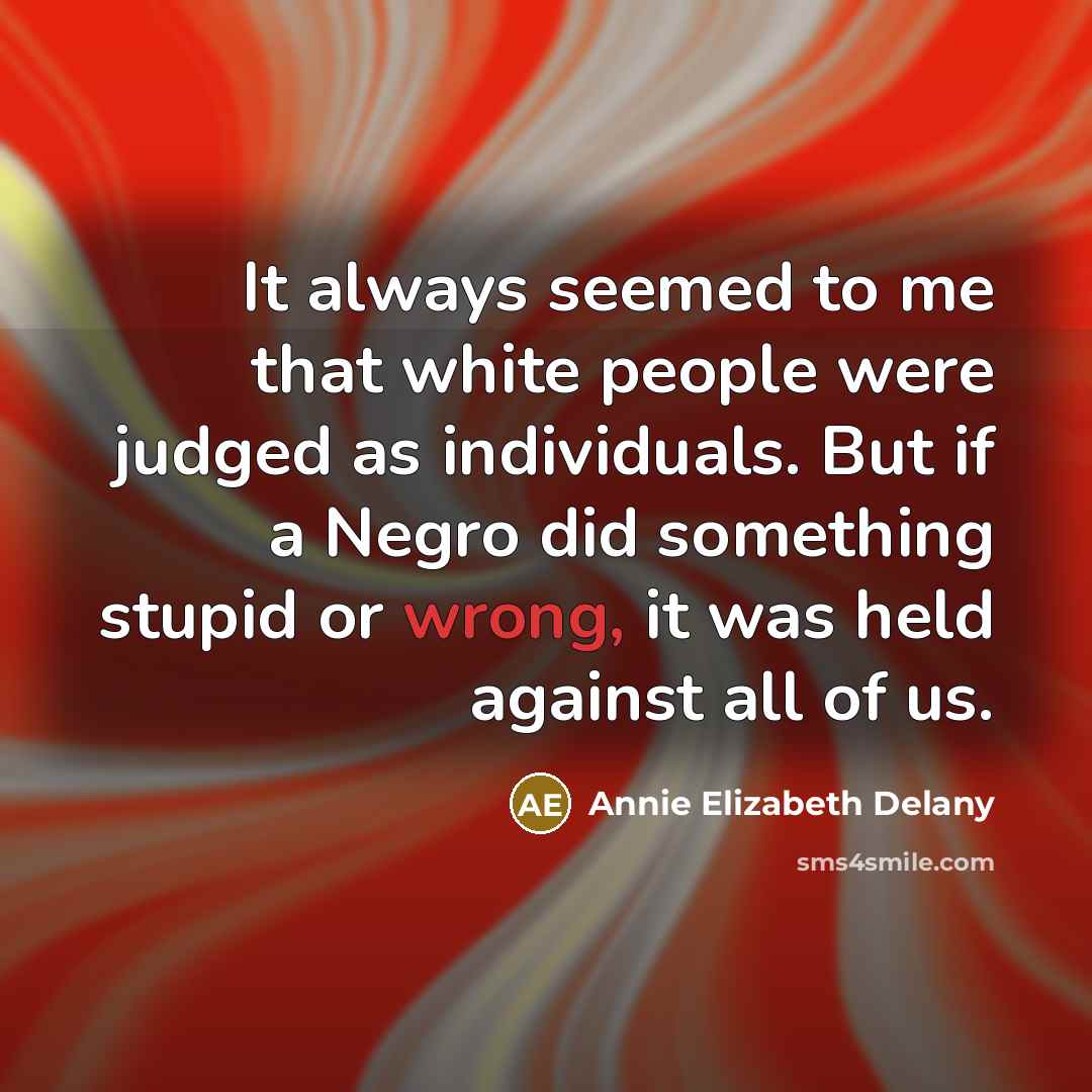 “It always seemed to me that white people were judged…” quote by Annie Elizabeth Delany