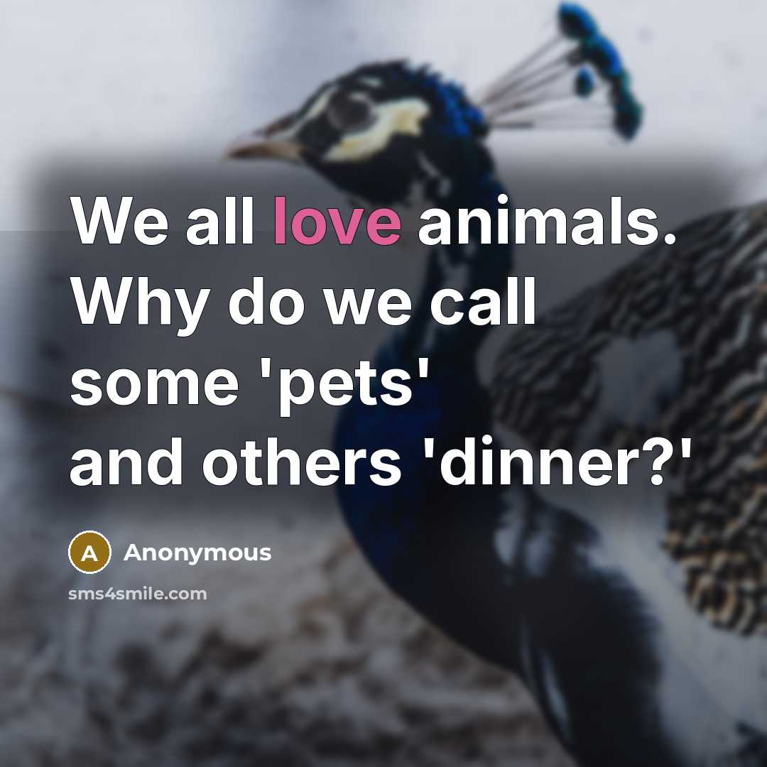 “We all love animals. Why do we call some 'pets'…” quote by Anonymous